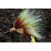 Bucktail groot
